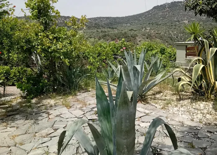 Διαμέρισμα Giola Aparments And 2 Αστρίδα